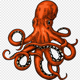 Kraken PICTURE